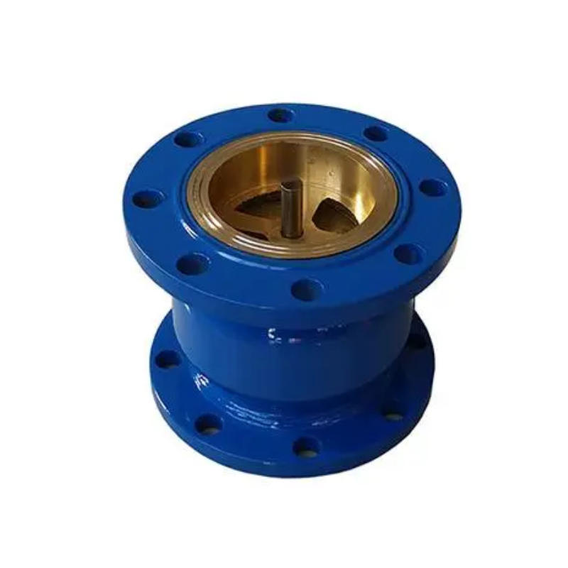 Silencing check valve .