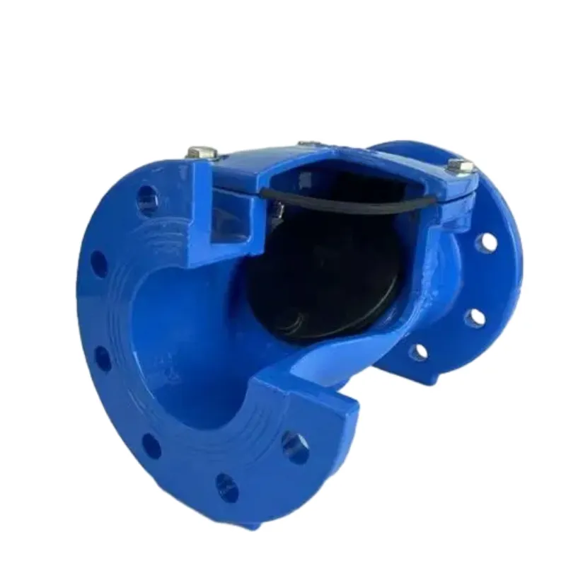 Rubber flap swing check valve .